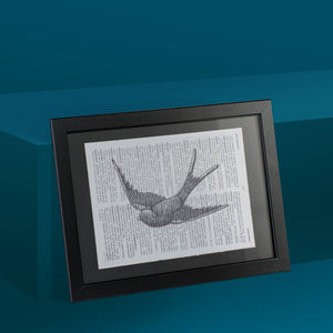 Swallow Framed Art Print
