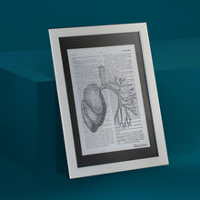 Load image into Gallery viewer, Lung Framed Art Print